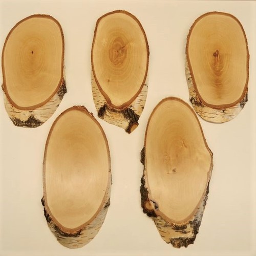 Pièces panneaux bouleau - panneaux,