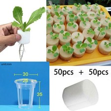 50pcs Hydroponie Plante Grow Filet Tasse Maille Pot Aéroponique Aquaponic Panier