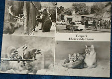 52343 AK Tiergarten Eberswalde Finow Cerf Sika Ours Brun Mère Puma Raton Laveur