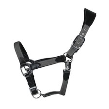 EQuest Licol Unique Pour