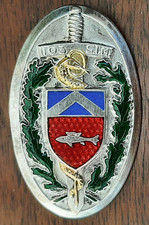 Insigne Badge 103° SIM AFN