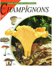 Grand guide encyclopédique des champignons [ Jean-Louis Lamaison, J-M Polese ]