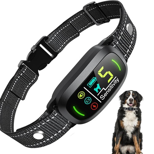 Collier anti aboiement - anti-aboiement, chien