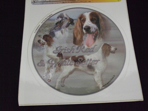 Autocollant motif chien - motif,