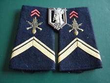 PAIRE DE FOURREAUX INFANTERIE / SERGENT+ INSIGNE DU 92éme R.I