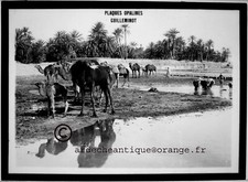 Afrique du Nord. Publicité Guilleminot."Plaques Opalines" verre Positive 13x18cm