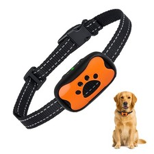 Puppy Safe Collier