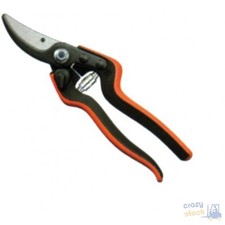 Sécateur Pour La Taille Felco