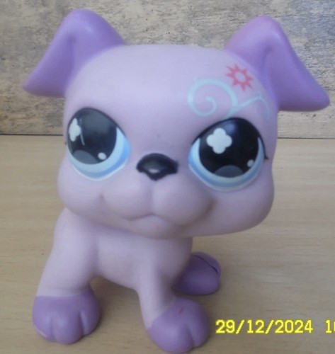 Hasbro little petshop - little,