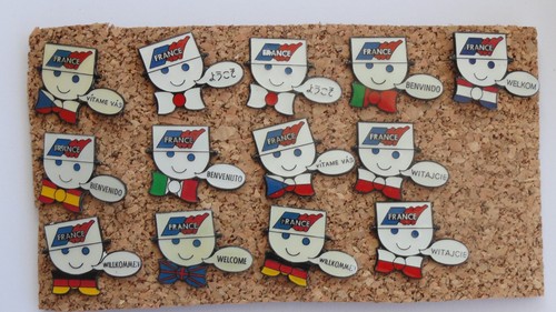 Lot pin coupe - pin, monde