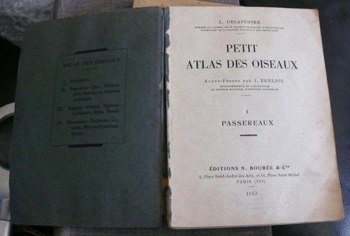 Ornithologie petit atlas des - ornithologie,