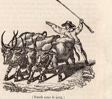 ITALIA ITALIE MAREMME TOSCANE