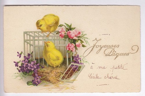 Cpa animal fantaisie - fantaisie,