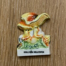 Fève ❤️ Galette des Rois- COLLYBIA VELUTIPES - Champignon nature  Broad Bean