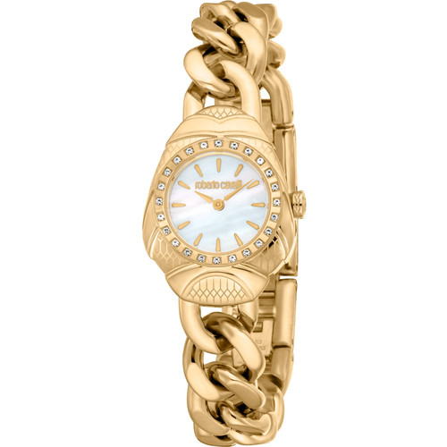 Montre roberto cavalli - montre,