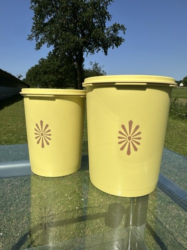 Paire boîte tupperware - paire,