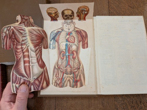 Livre ancien bilz la - livre,