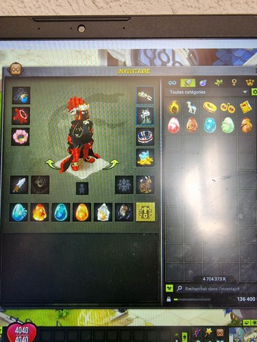 Compte dofus roublard - compte,