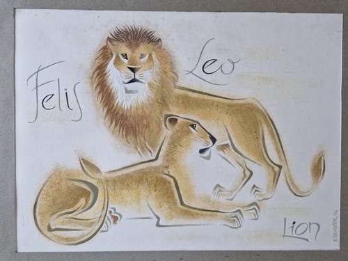 Bruno seuchter dessin la - seuchter,