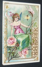 CHROMO 1900-1914 BERLINGOTS
