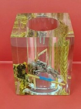 Presse papier pot crayon Résine Inclusion cheval équitation chevaux p giraudon