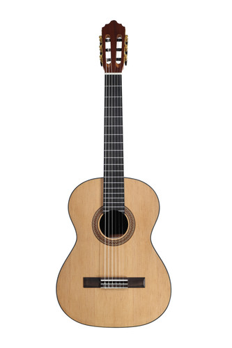 Zix guitars guitare - guitare, concert