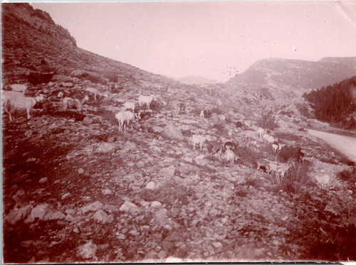 Frontière italie col du - italie,,