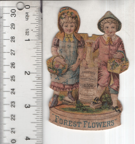 Austen forest flowers - austen's,