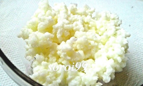 Grains kéfir lait 10g - kéfir,