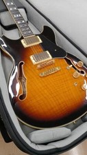 Guitare électrique IBANEZ