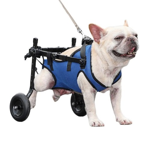 Fauteuil roulant chien - fauteuil,