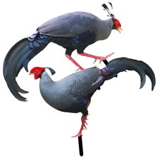  2 Pcs Insert De Faisan Jardin