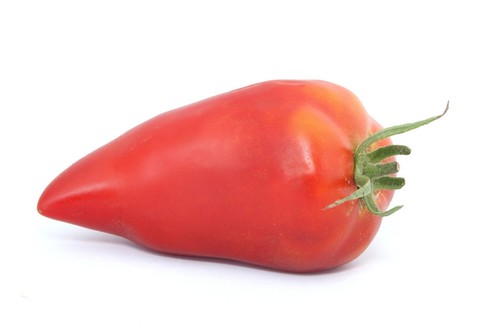 Tomate cornue des andes - tomate,