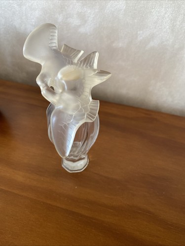 Flacon parfum vide empty - vide,