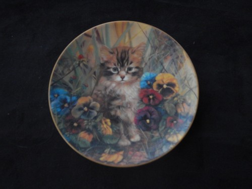 Assiette chat avec des - chat,