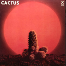 Disque vinyle 33tr "CACTUS"