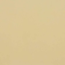 Morceau de cuir de vachette