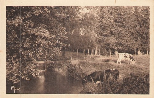 Prairie bord riviere vache - bord,