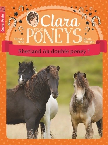 Shetland double poney - shetland,