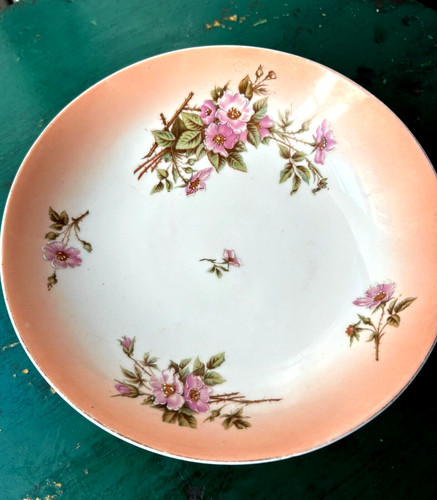 Coupe fruits porcelaine - coupe,