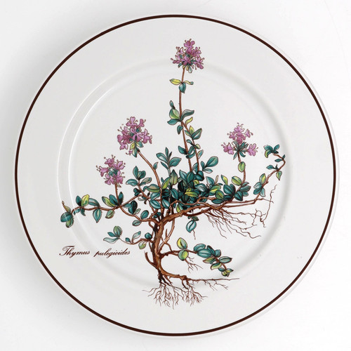 Villeroy boch botanica - &,