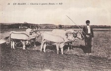 CP BEARN CHARRUE A QUATRE