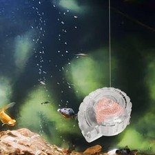 Attrape-escargots D'aquarium