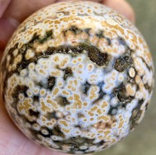 56mm Ocean Jasper Orbicular
