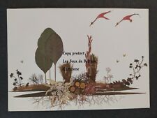 FLOWERS FLEURS JOS VAN LITH illustration carte postale postcard