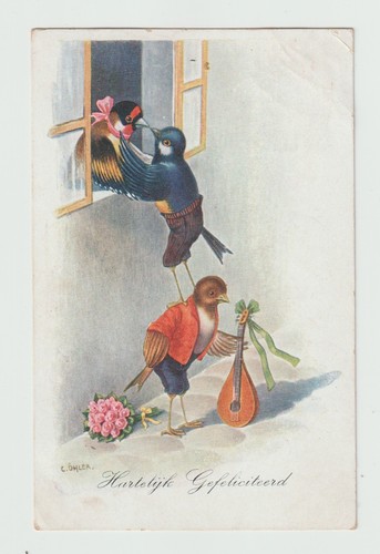 Oiseaux humanisés - ,