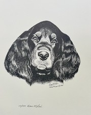 Gordon Setter Pup Limited