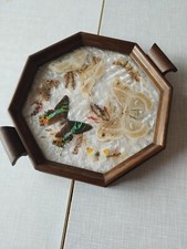 Ancien Plateau Service Bois Et