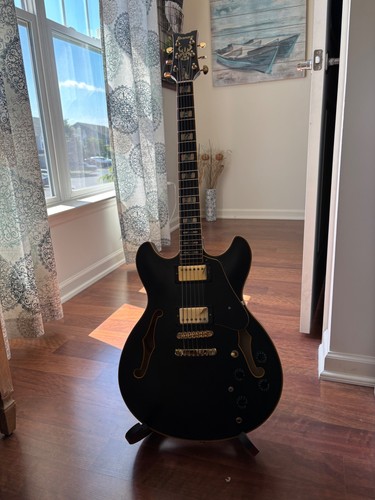Ibanez john scofield - ibanez, signature