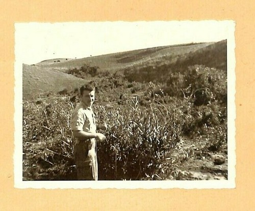 Guerre algerie photo - d',
